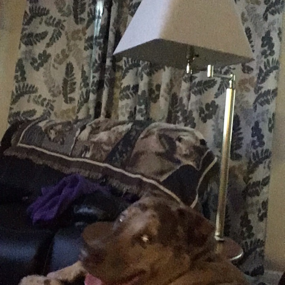 Meet your Posher, Ali